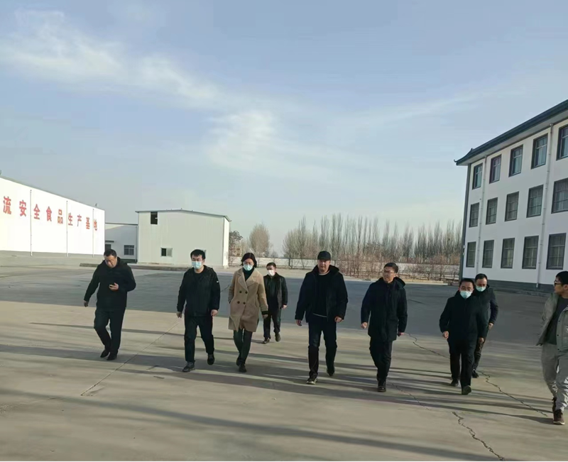 石嘴山市副市長、惠農(nóng)區(qū)委書記王宇翔蒞臨寧夏興康恒潤農(nóng)業(yè)科技發(fā)展有限公司調(diào)研