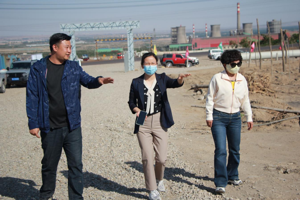 石嘴山市農(nóng)業(yè)農(nóng)村局副局長徐永霞、農(nóng)經(jīng)中心主任王曉斌一行蒞臨基地檢查指導(dǎo)